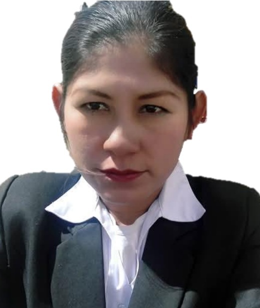 Dany Yina Castellano Perez